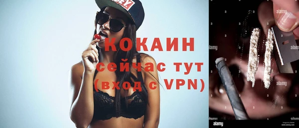 индика Беломорск