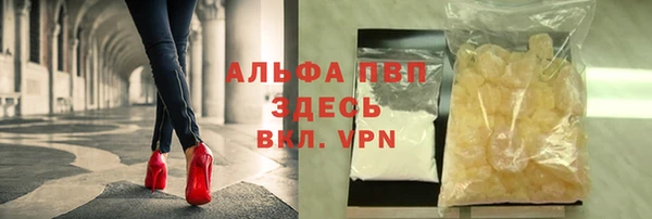 индика Беломорск