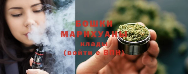 дурь Богородицк