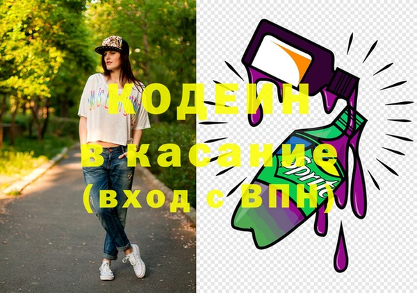 индика Беломорск