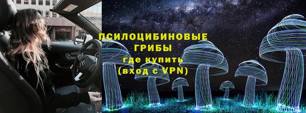 прущая мука Белокуриха