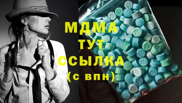 сатива Инсар