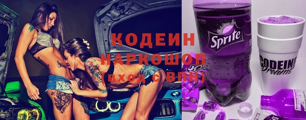 индика Беломорск