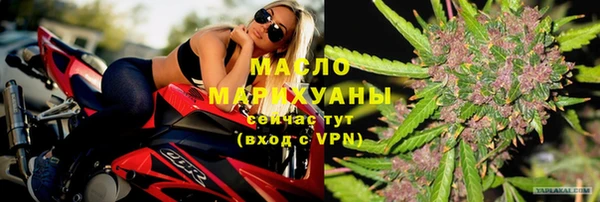 индика Беломорск