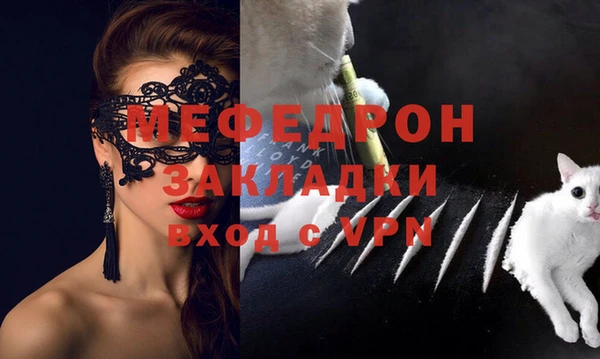 индика Беломорск