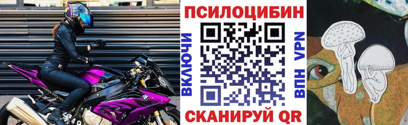 darknet телеграм  Котельники  Псилоцибиновые грибы MAGIC MUSHROOMS  купить закладку  ОМГ ОМГ tor 